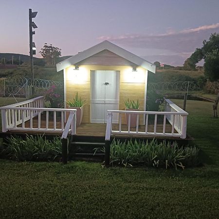Little Tree Loft 2 Bed and Breakfast Uitenhage Buitenkant foto