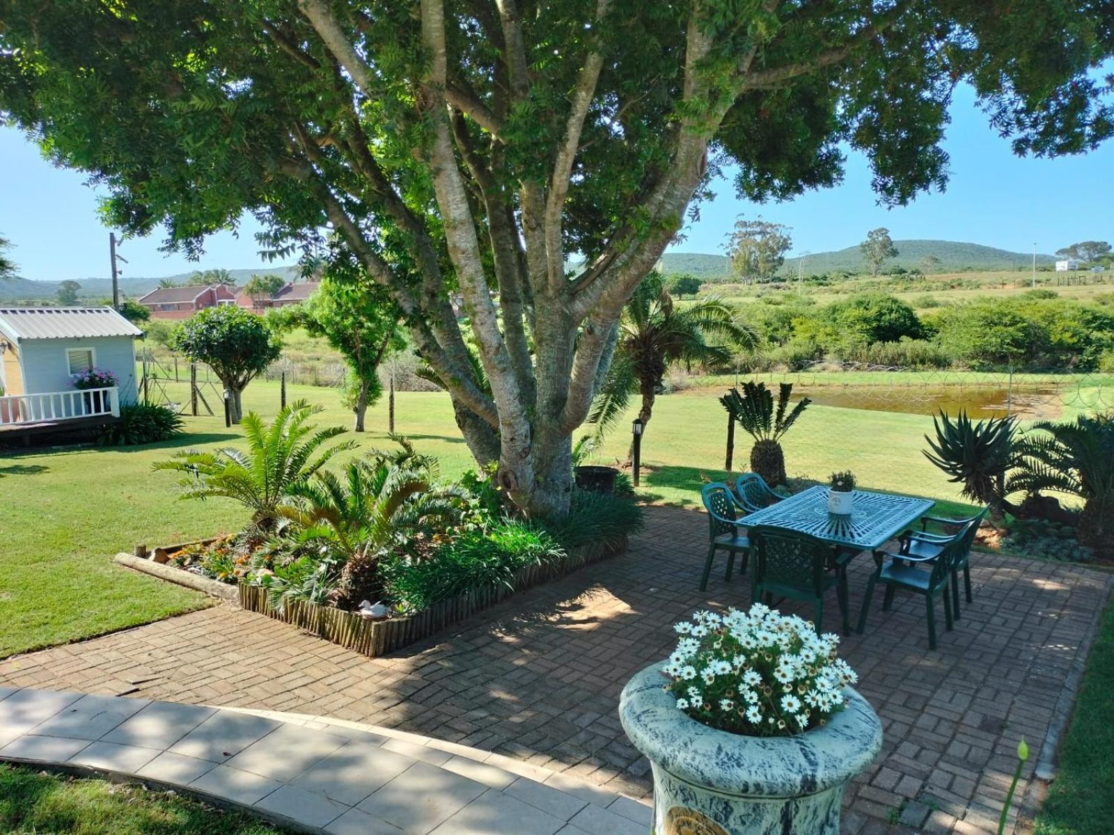 Little Tree Loft 2 Bed and Breakfast Uitenhage Buitenkant foto