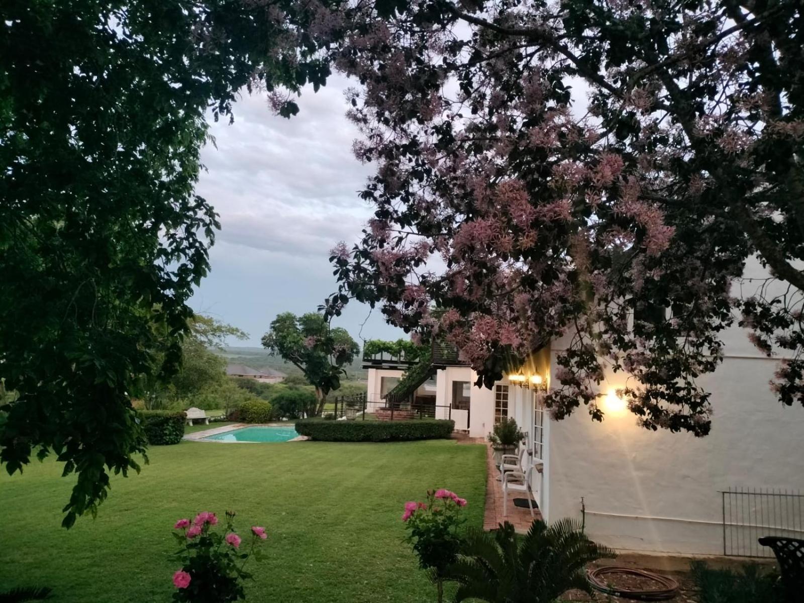 Little Tree Loft 2 Bed and Breakfast Uitenhage Buitenkant foto